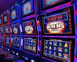 dbet casino