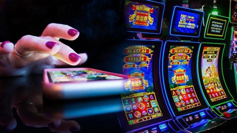 dbet casino