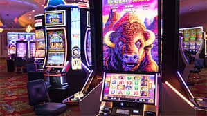 dbet casino